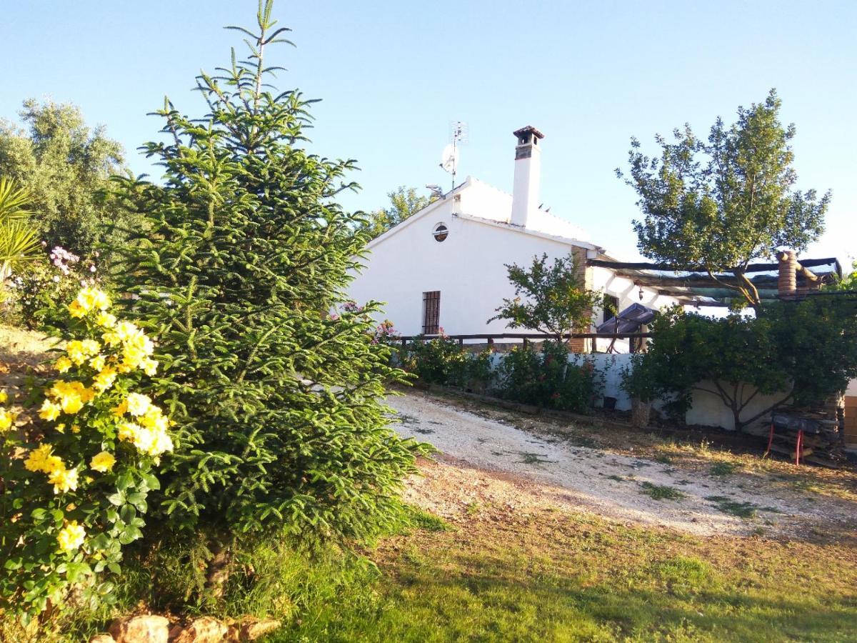 Casa Rural Bellavista Ronda Esterno foto